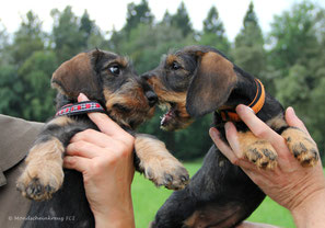 Baronesse & Frieda