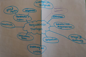 bergwiesenprojekts Webseite!