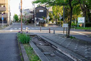 スポーツセンター北で一度途切れる遊歩道