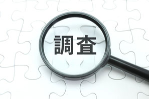 サポートサロン・ダイヤモンドハート・その他の調査