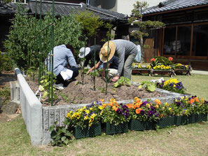 畑で作業