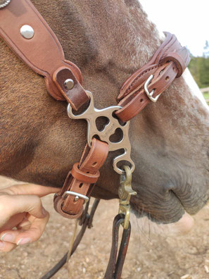 hackamore ergonomique anatomique cheval cuir artisan