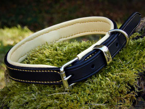 COLLIER CHIEN TIRE LAISSE