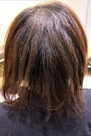 神奈川県川崎市幸区南加瀬から