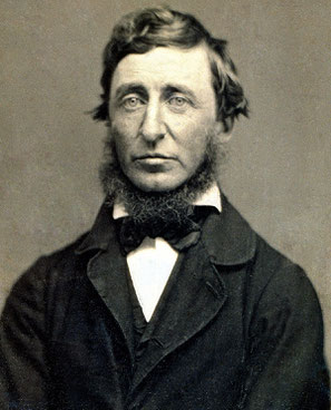 Portrait de Henry David Thoreau, Portrait par Benjamin D. Maxham, daguerréotype , juin 1856