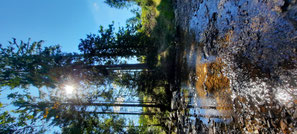 Pause an der Furt, Licht und Schattenspiele