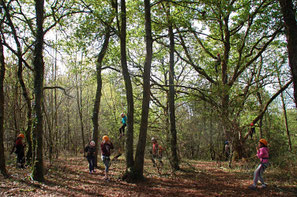 Les Tas De Nature, animation de groupe, bois de Sauvagnon