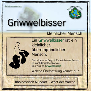 Griwwelbisser ist eine rheinhessische Übersetzung für eine kleinliche Person