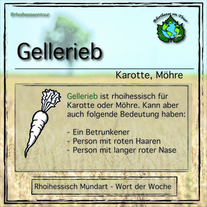 Das rheinhessische Wort für Karotte ist Gellerieb