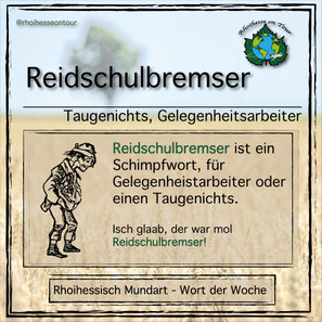 Reidschulbremser ist rhoihessisch für einen Taugenichts oder Gelegenheitsarbeiter