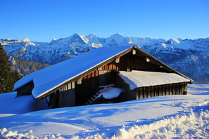 Schlittelplausch am Niederhorn - 01.01.2015