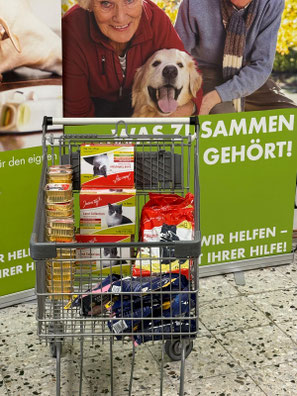 2025_09_13 Spendenannahme_Foto: Schenk