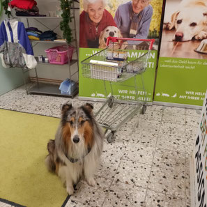 2025_12_06_ Spendenannahme_Foto: Oetken