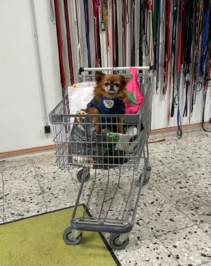 28.11.2025_Spendenannahme_Foto: Quadt