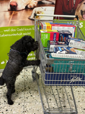 2025_09_06 Spendenannahme_Foto:Schenk