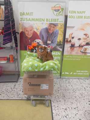 2026_01_17_Spendenannahme_Foto: Linke