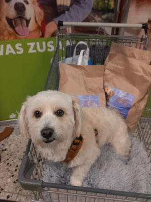 31.01.2026_Spendenannahme_Foto: Linke