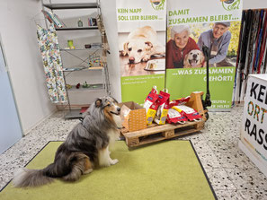 2025_08_09 Spendenannahme_Foto: Oetken