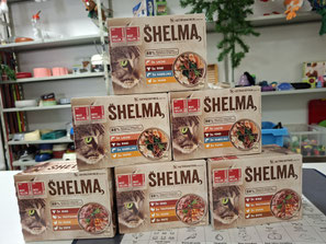 22.11.2025_Spendenannahem_Foto: Oetken