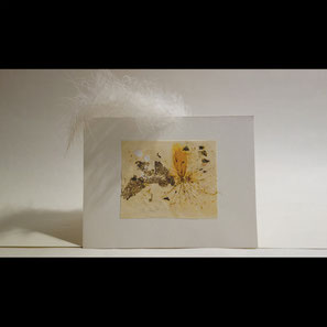 Nature, introduction, artistique, fleurs, biologique, plume, collaboration, portrait, représentation, synthèse, texture, peinture