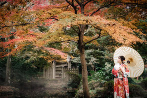 各務原のフォトスタジオひでんち 岐阜 関 山県へ出張撮影可能 紅葉の岐阜公園で番傘と