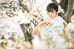 三上英和 ひでんち hidenchi  カメラマン フォトグラファー 写真撮影 出張撮影 フォトスタジオ スタジオ撮影 岐阜 各務原 瑞穂 岐南 羽島 安八 大垣 本巣 関 美濃 美濃加茂 多治見 土岐 可児 郡上 池田 揖斐川  山県 北方 笠松 一宮 稲沢 木曽川 江南 犬山 小牧 春日井 フォトジェニック インスタ映え おしゃれ 人気 おすすめ 衣装 着物 記念 コーデ 私服 紅葉 桜 振袖 ママ振り 番傘 成人式 前撮り ロケーションフォト 二分の一成人式 1/2成人式