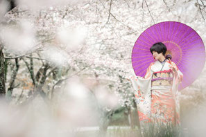 各務原のフォトスタジオひでんち 岐阜 関 美濃加茂へ出張撮影可能 桜の景色で番傘を持って