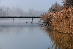 Stille Ruhe gedanken trauer