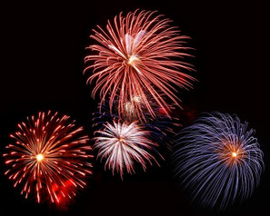 un feu d'artifice provoque souvent la peur chez le chien le chiot par coach canin 16 dresseur chien charente