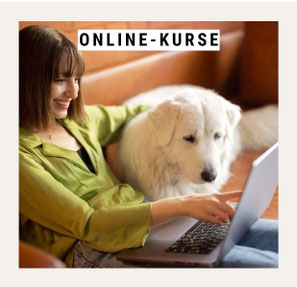 Dog Advice: Frau mit Hund