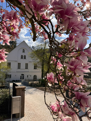 Mühlenhof