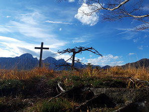 Brandberg - Almseeblick, Gipfelkreuz und Baum am Gipfel