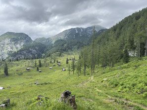 Großer Schönberg, Ischler Hütte, Rettenbachtal, Hochkogelhaus, Rettenbachalm, Lippenbauernhütte, Wandern, Oberösterreich, Bad Ischl, Salzkammergut