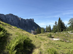 Loser, Loser Umrundung, Greimuth, Hochanger, Bräuningzinken, Schwarzmoossattel, Gschwandtalm, Ausseerland, Bräuningalm, Wandern, Steiermark