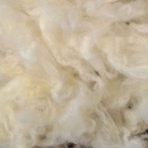 couleur naturelle, teinture textile, laine, soie, magasin de laine, développement durable, kit, diy, achat laine, laine locale