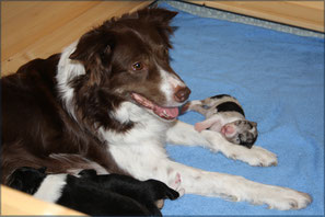 Bei Mami fühle ich mich sicher :-)