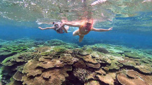 Snorkel Tour