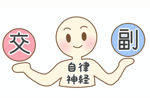 自律神経ってなんだろう?って思ったことはありませんか?大分別府 頭痛専門ここまろ調整院にも自律神経が乱れてる患者さんが多く通っておられます。今日は自律神経ってなんだろう?の疑問を解消するお話です。