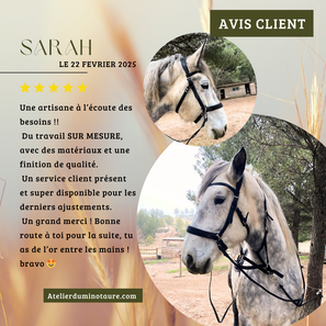 RECOMMANDATION SIDEPULL CUIR CHEVAL