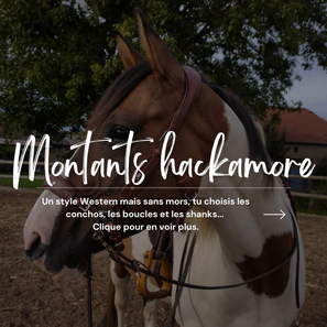 HACKAMORE WESTERN CHEVAL CUIR SELLERIE ANNECY