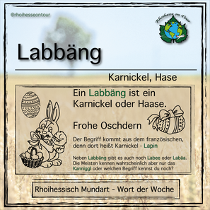 Labung oder Labbing ist eine rheinhessische Übersetzung Karnickel