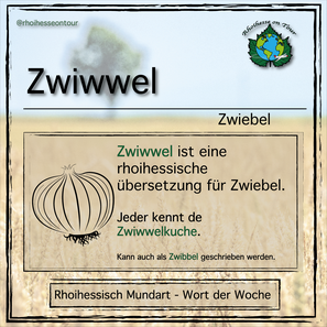 Eine rheinhessische Übersetzung für Zwiebel ist Zwiwwel oder Zwibbel