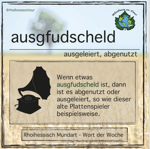 Das rheinhessische Wort für ausgeleiert ist ausgfudscheld