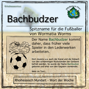 Bachbudzer ist ein rhoihessischer Spitzname für die Fußballer der Wormatia Worms