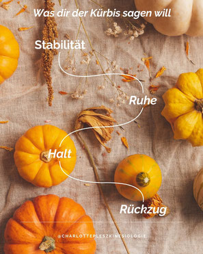 Herbstliches Stillleben mit verschiedenen Kürbissen auf Leinenstoff. Text: Was dir der Kürbis sagen will – Stabilität, Ruhe, Halt, Rückzug. Symbolbild für die seelische und spirituelle Bedeutung des Kürbis in der Herbstzeit.