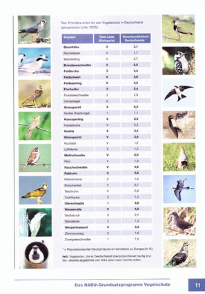Prioritäre Arten für den Vogelschutz