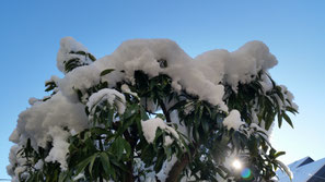 青空と雪