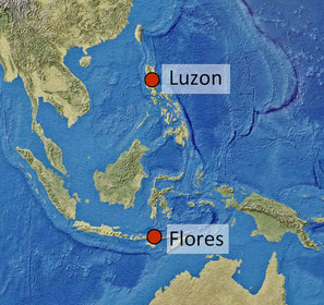 Locations of Homo floresiensis and Homo luzonensis