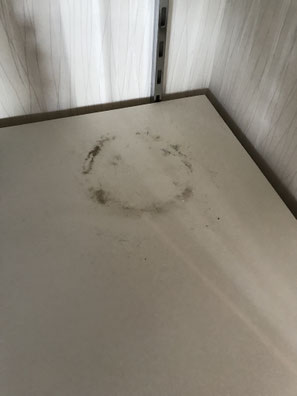 大阪兵庫で家事代行サービスはお掃除上手で快適な暮らしをご提案