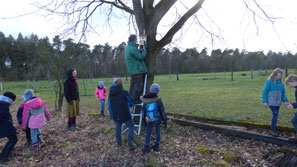 Eine Gruppe von Kindern steht rund um einen Baum. An diesem Baum lehnt eine Leiter und eine Person steht darauf vor einem Nistkasten.